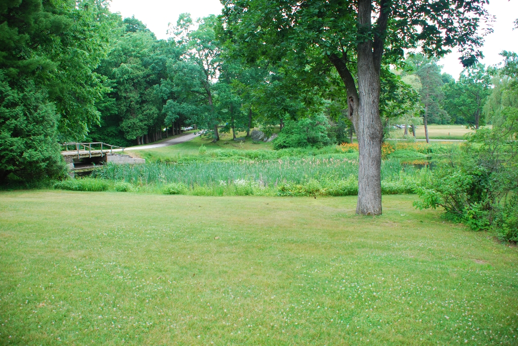 DSC_1600.JPG